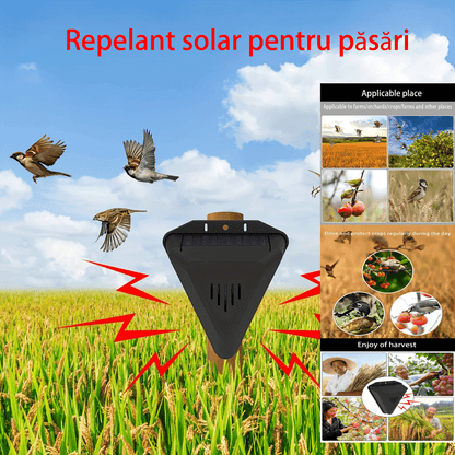 Alarmă solară cu sunet și lumină respingătoare pentru păsări ✅Livadă ✅Iaz cu pești ✅Câmp de orez