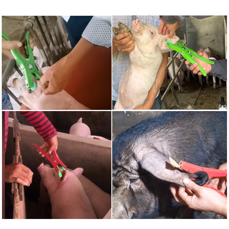 🔥🔥【Cleste + 100 de crotalii】Clești veterinar pentru crotalii + 100 crotalii pentru animale